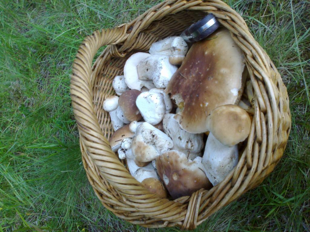 Penzion Pod Kycerou Zuberec Bagian luar foto